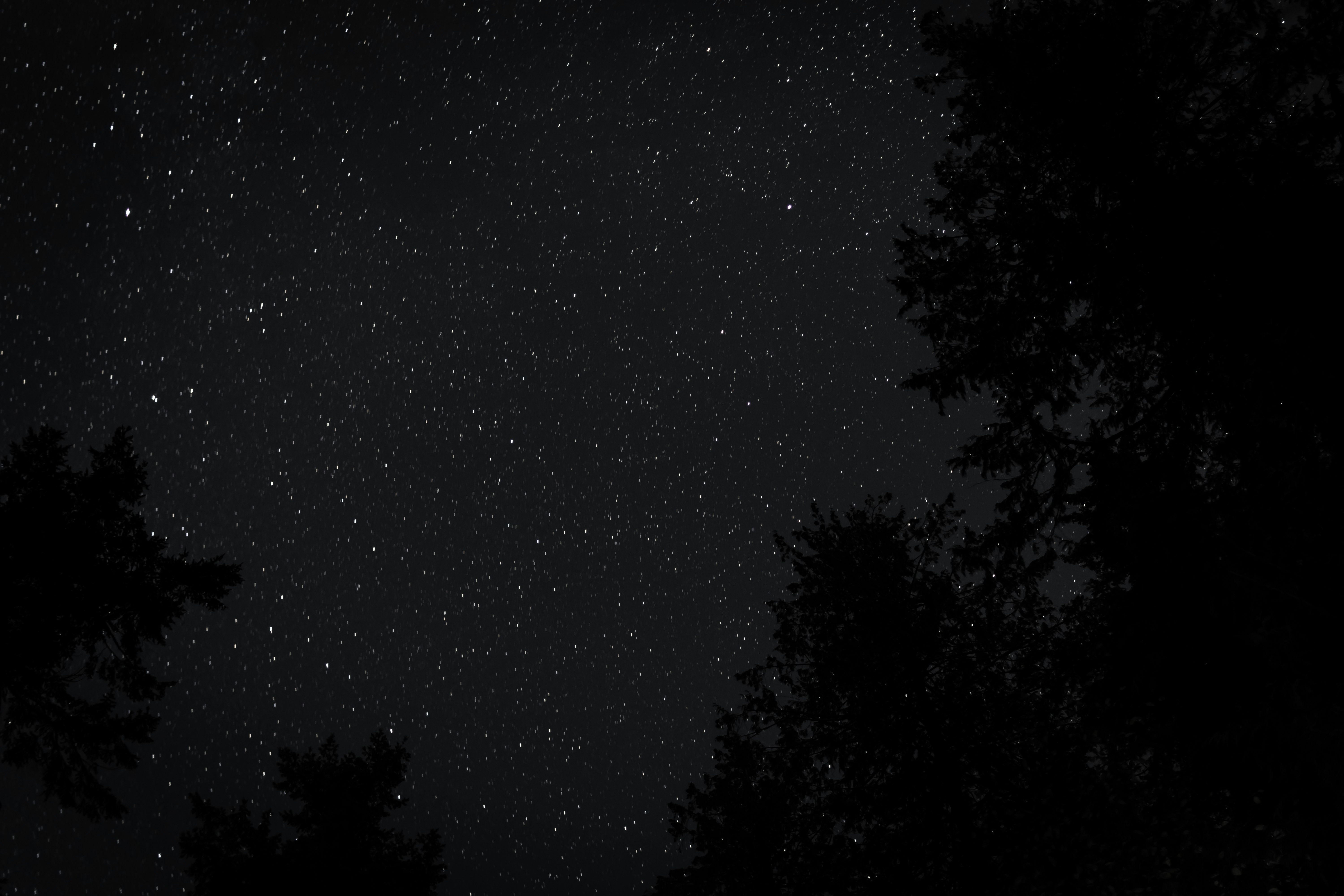 low angle photography of starry night